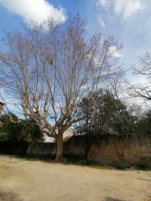 LE BEAUSSET Terrain  560 m2 4