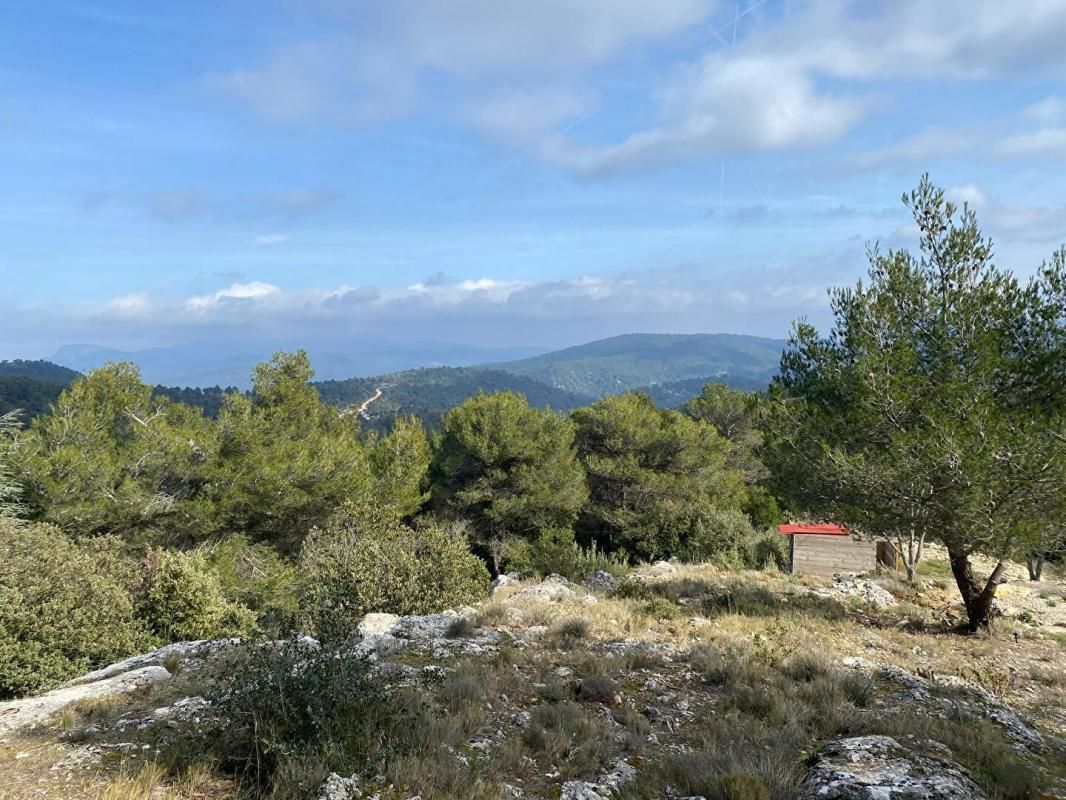 PLAN-D'AUPS-SAINTE-BAUME Terrain 2