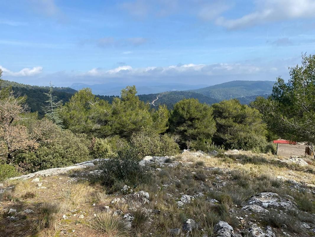 PLAN-D'AUPS-SAINTE-BAUME Terrain 3