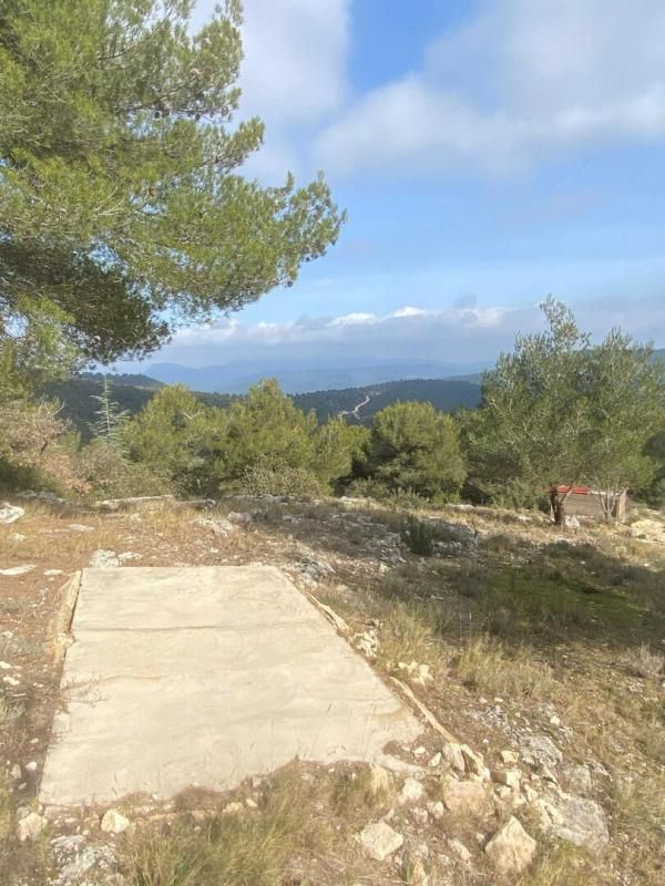 PLAN-D'AUPS-SAINTE-BAUME Terrain 4