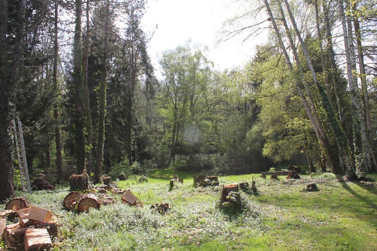 CHEVREUSE Terrain St Forget 4 646 m2 2