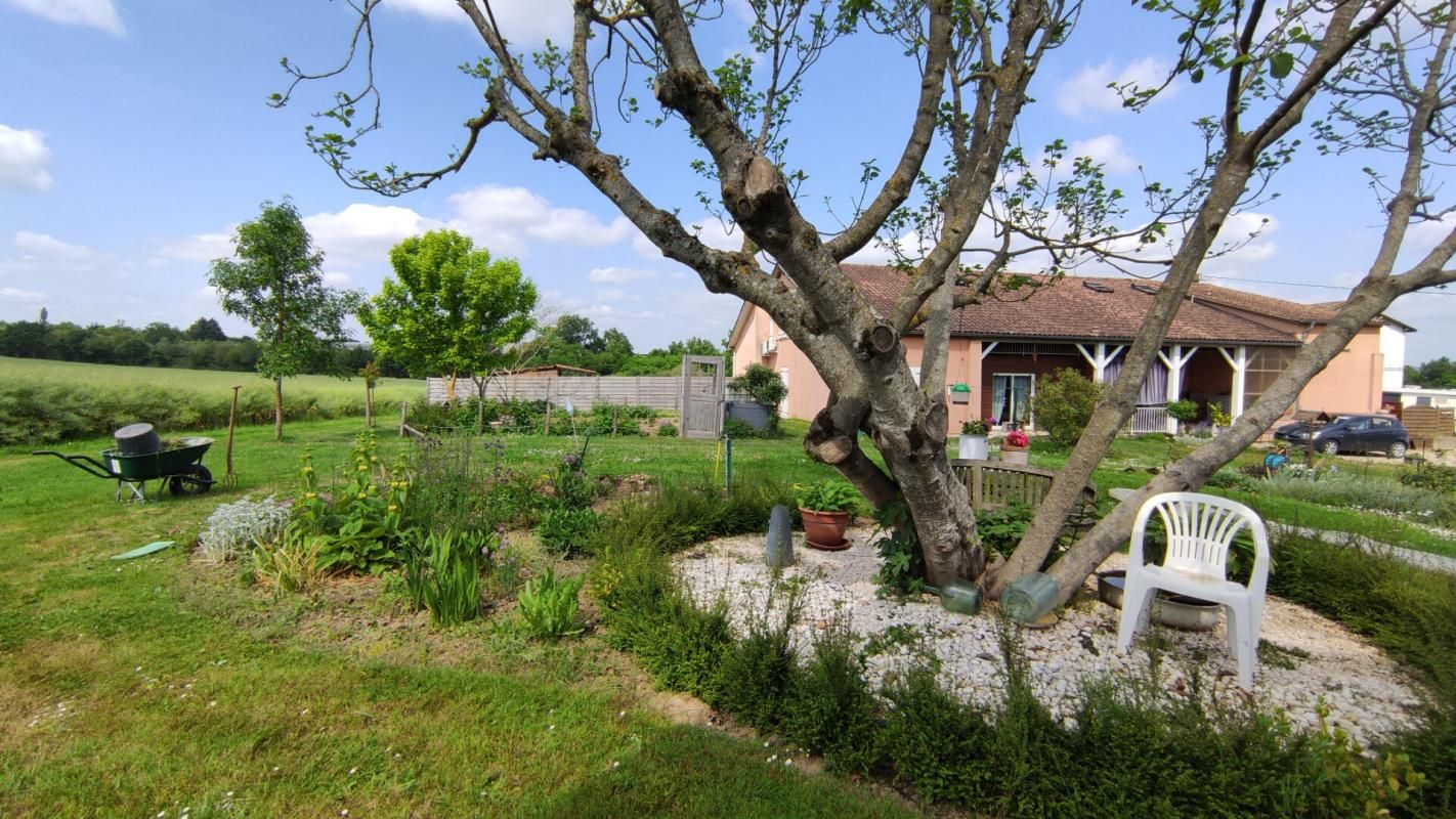 CASTELJALOUX Ferme rénovée avec 3 logements dont 2 gîtes et dépendances 2
