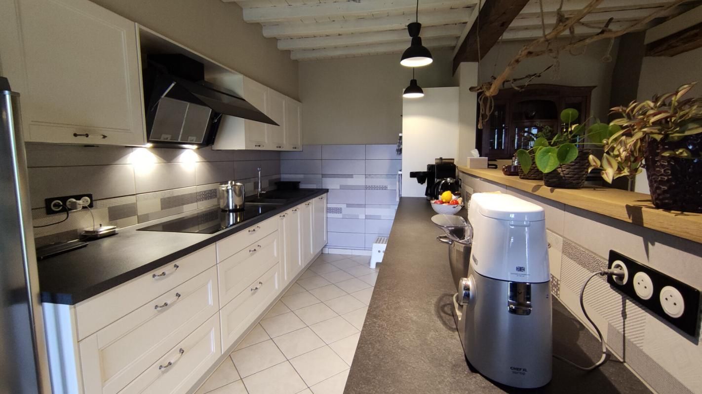 CASTELJALOUX Ferme rénovée avec 3 logements dont 2 gîtes et dépendances 4