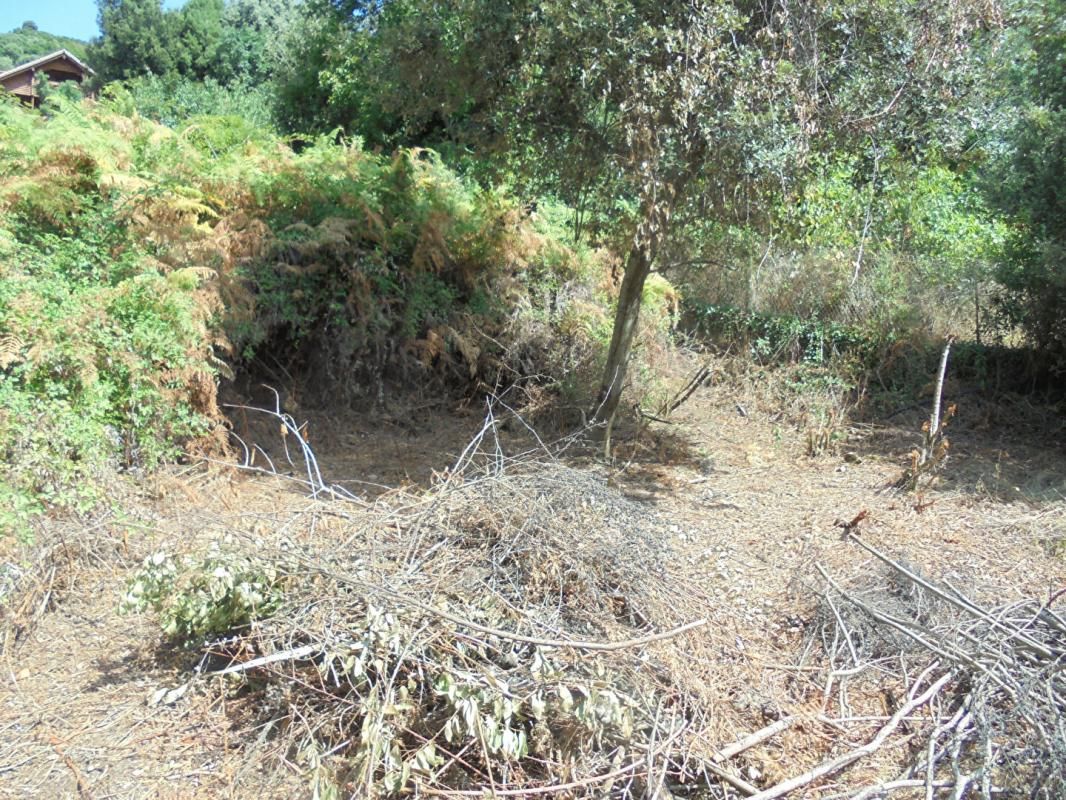 Terrain Vico 414 m2