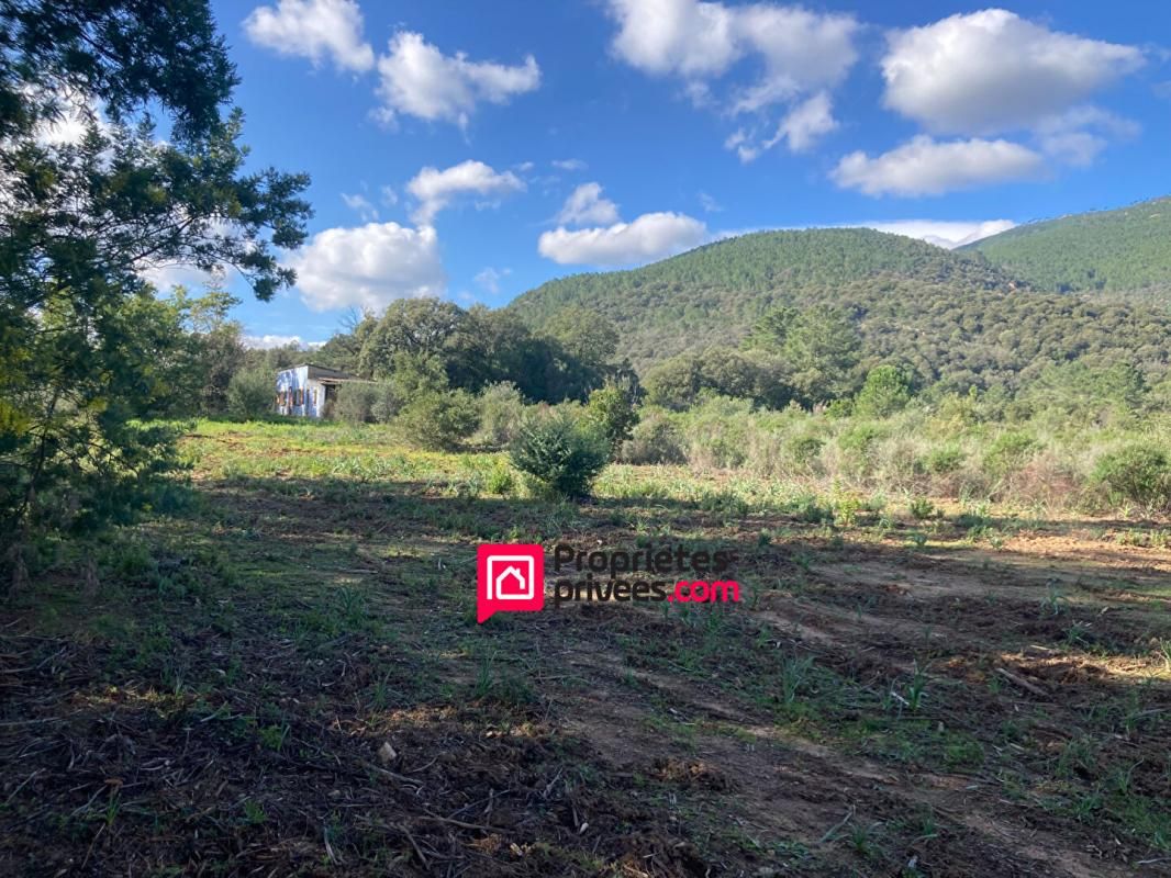 LECCI Grand Terrain  plat avec maison à rénover - à proximité de PORTO-VECCHIO et LECCI  (20137) - CORSE DU SUD 2