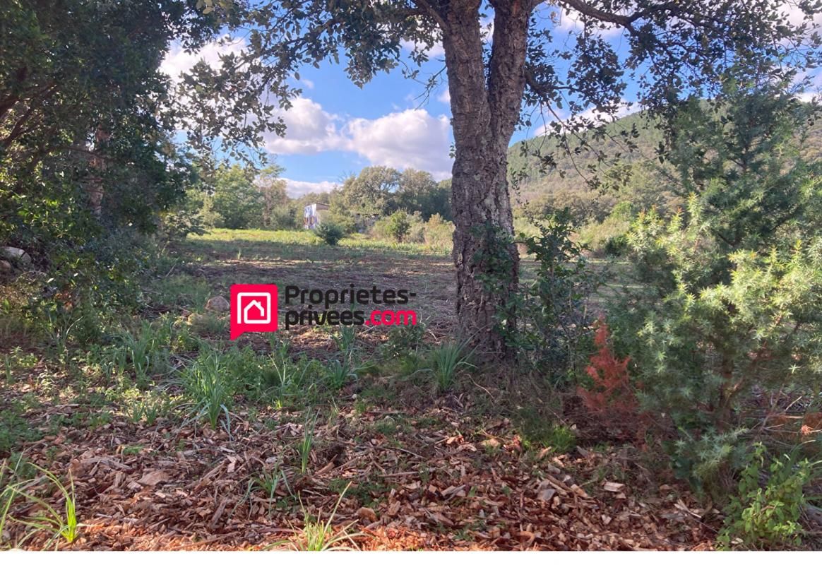 LECCI Grand Terrain  plat avec maison à rénover - à proximité de PORTO-VECCHIO et LECCI  (20137) - CORSE DU SUD 3