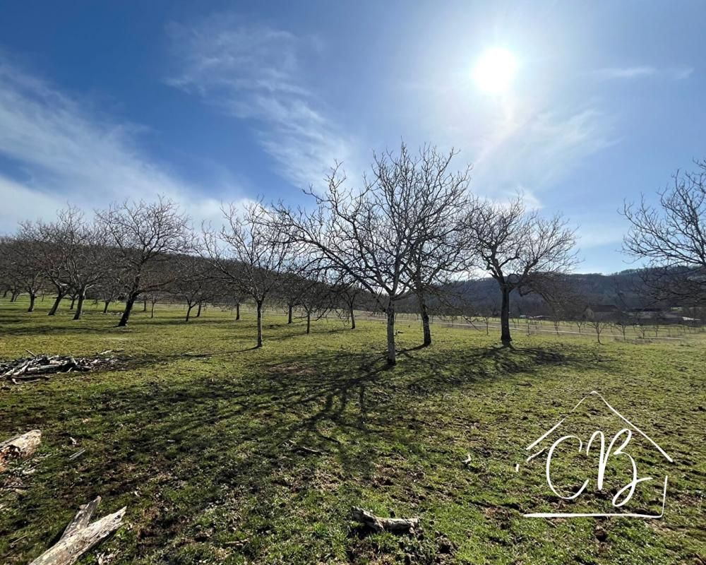SERGEAC 24290 Sergeac - Terrain Constructible 4264 m2 4
