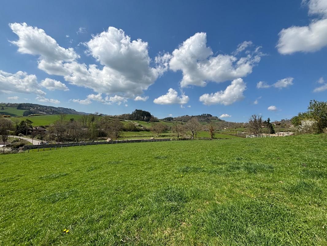 CLUNY Terrain 5051 m2 2