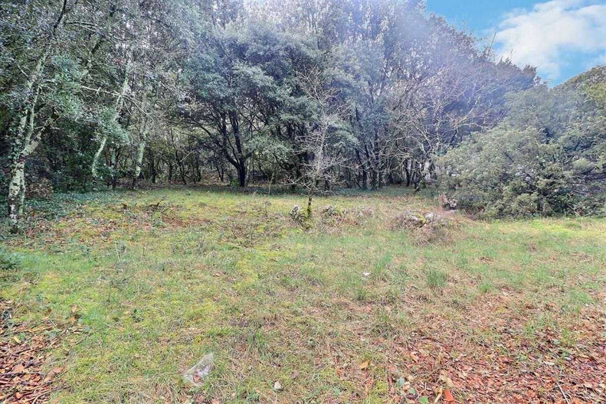 LABASTIDE-DE-VIRAC Terrain constructible Labastide De Virac 1840 m2 3