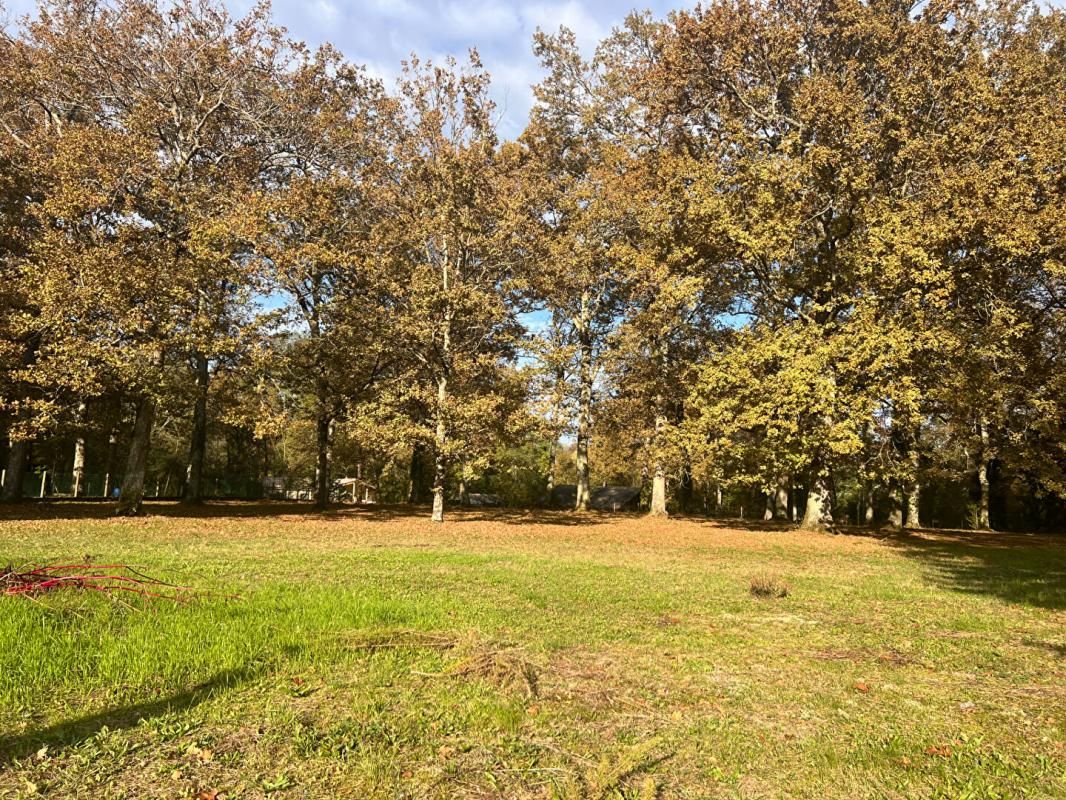 BAZAS Terrain à bâtir 3600m2 2