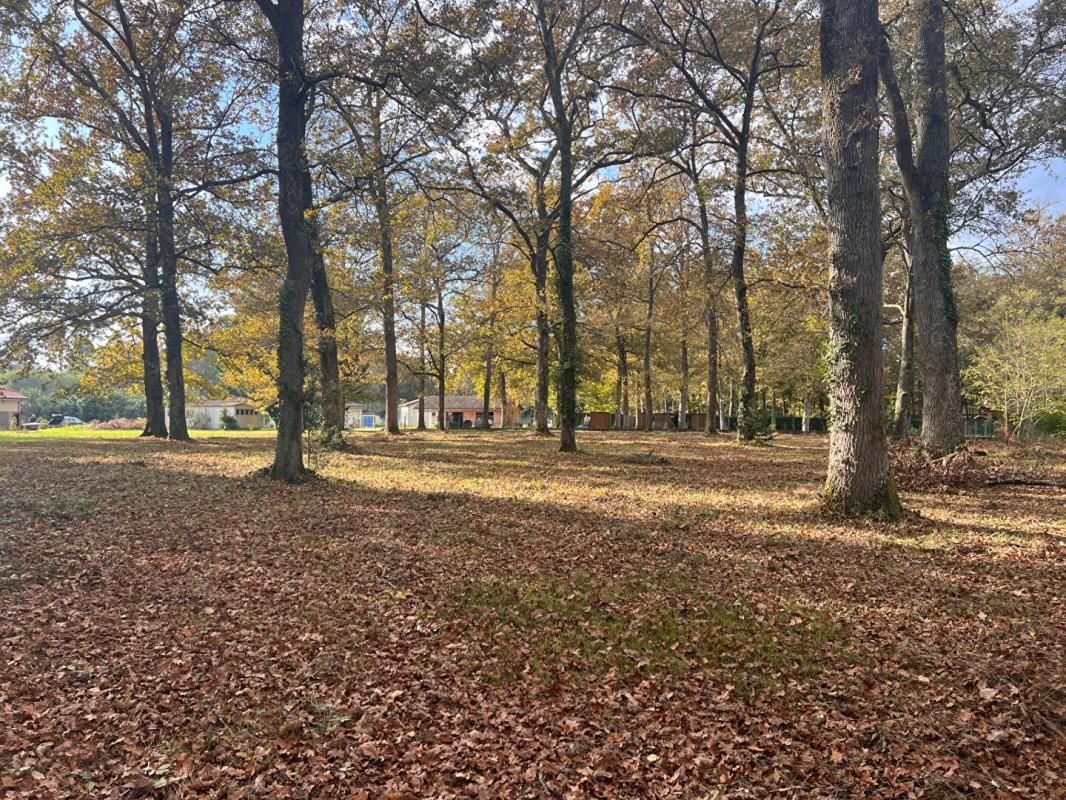 BAZAS Terrain à bâtir 3600m2 3