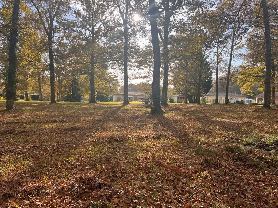 BAZAS Terrain à bâtir 3600m2 4