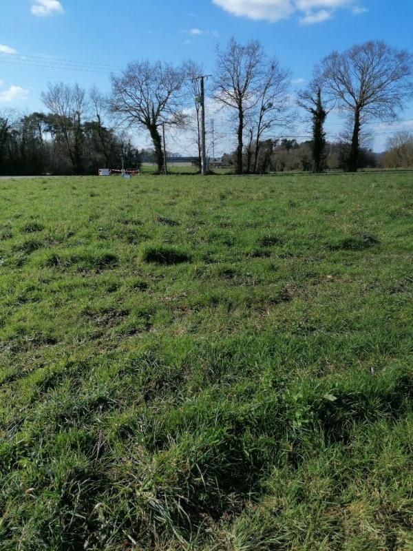 TAUPONT Terrain 992 m2 TAUPONT 2