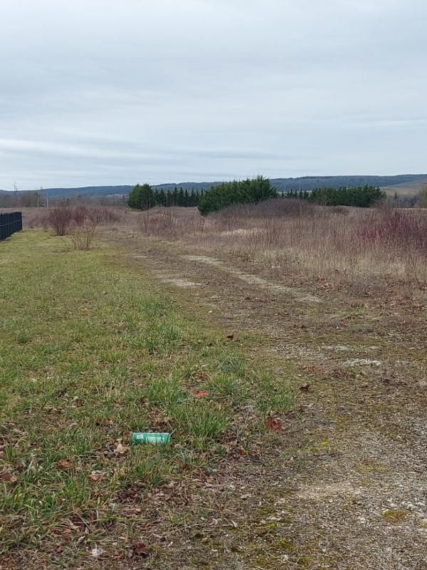 TERRAINS CONTRUCTIBLES 5 HECTARES - LA CELLE SUR OURCE et POLISOT 10