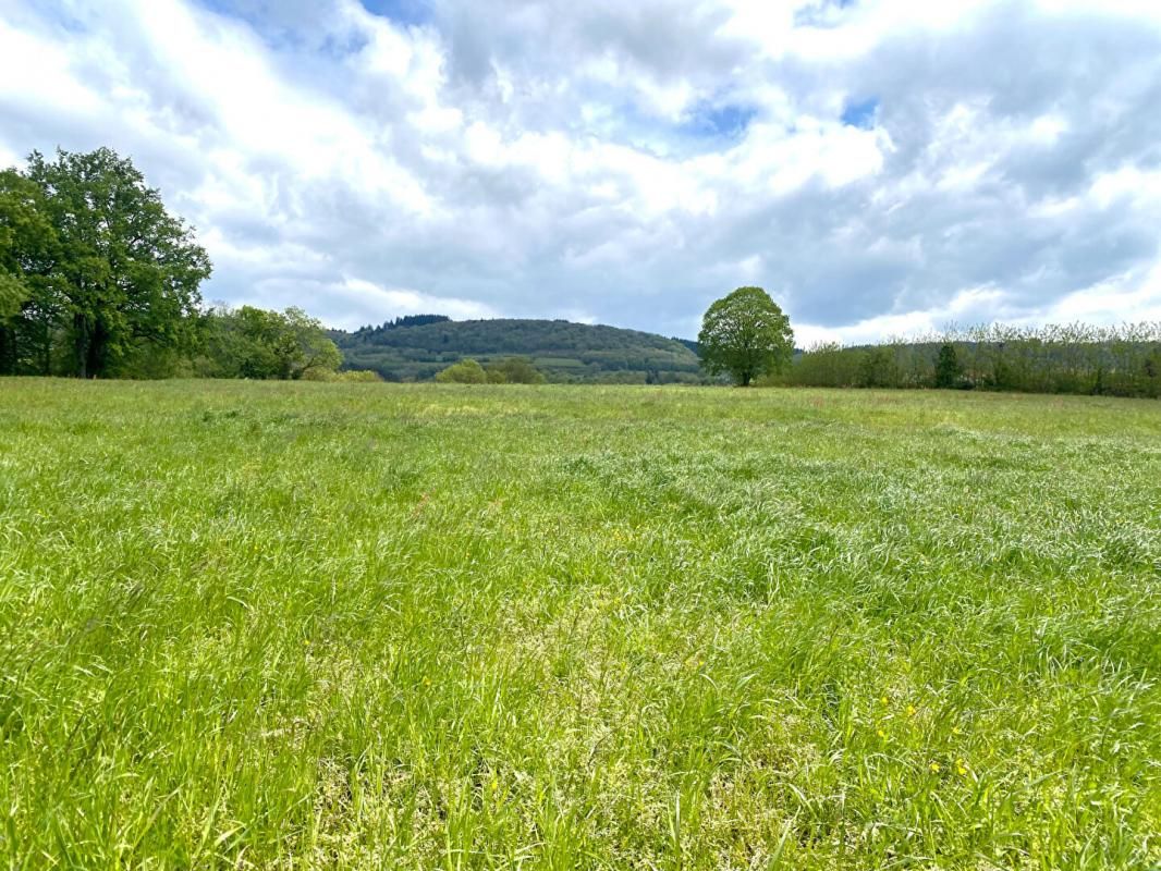 Terrain constructible de 5'303 m2 ( lot n° 5 )
