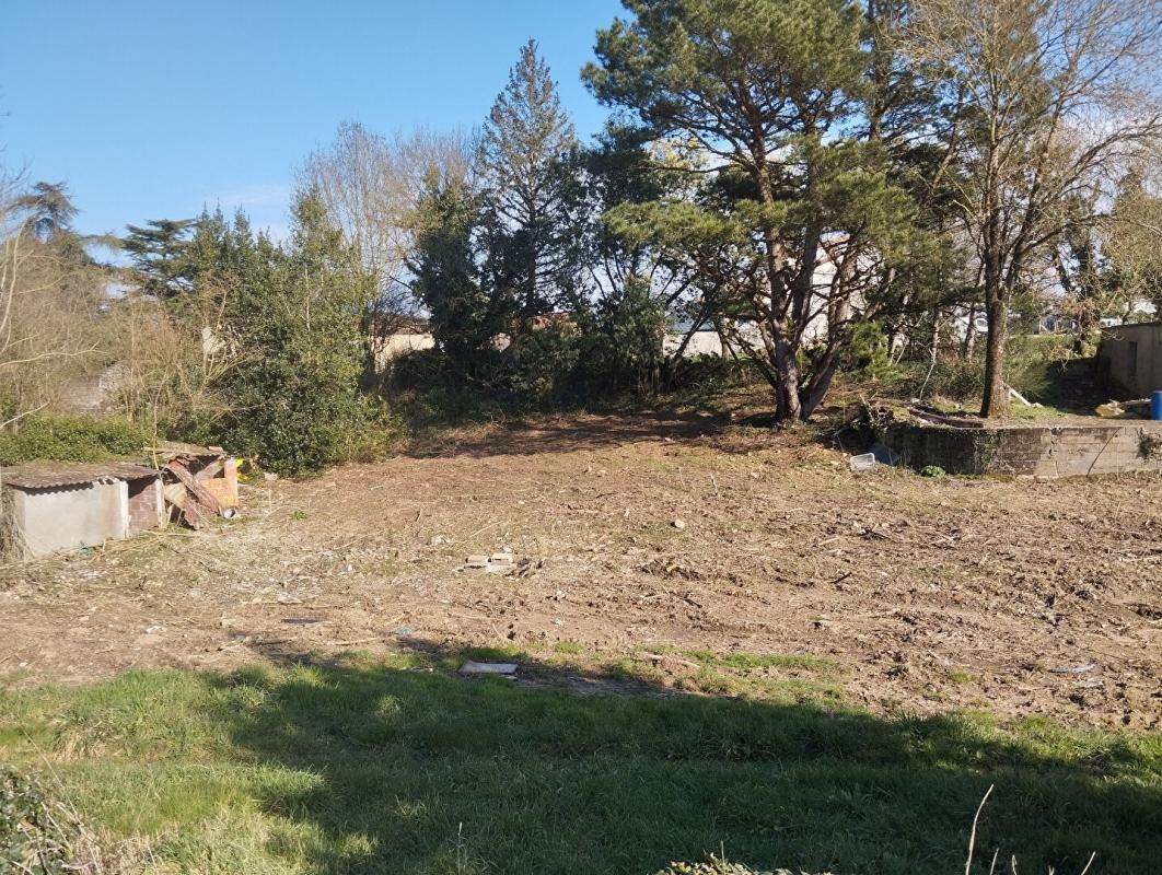 Terrain à bâtir, 1 200m², Champtoceaux, Orée d'Anjou (49270)