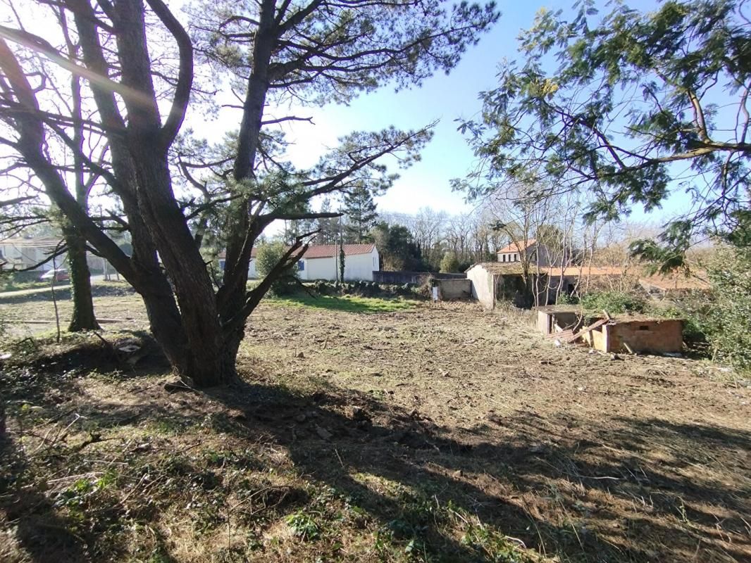 CHAMPTOCEAUX Terrain à bâtir, 1 200m², Champtoceaux, Orée d'Anjou (49270) 2