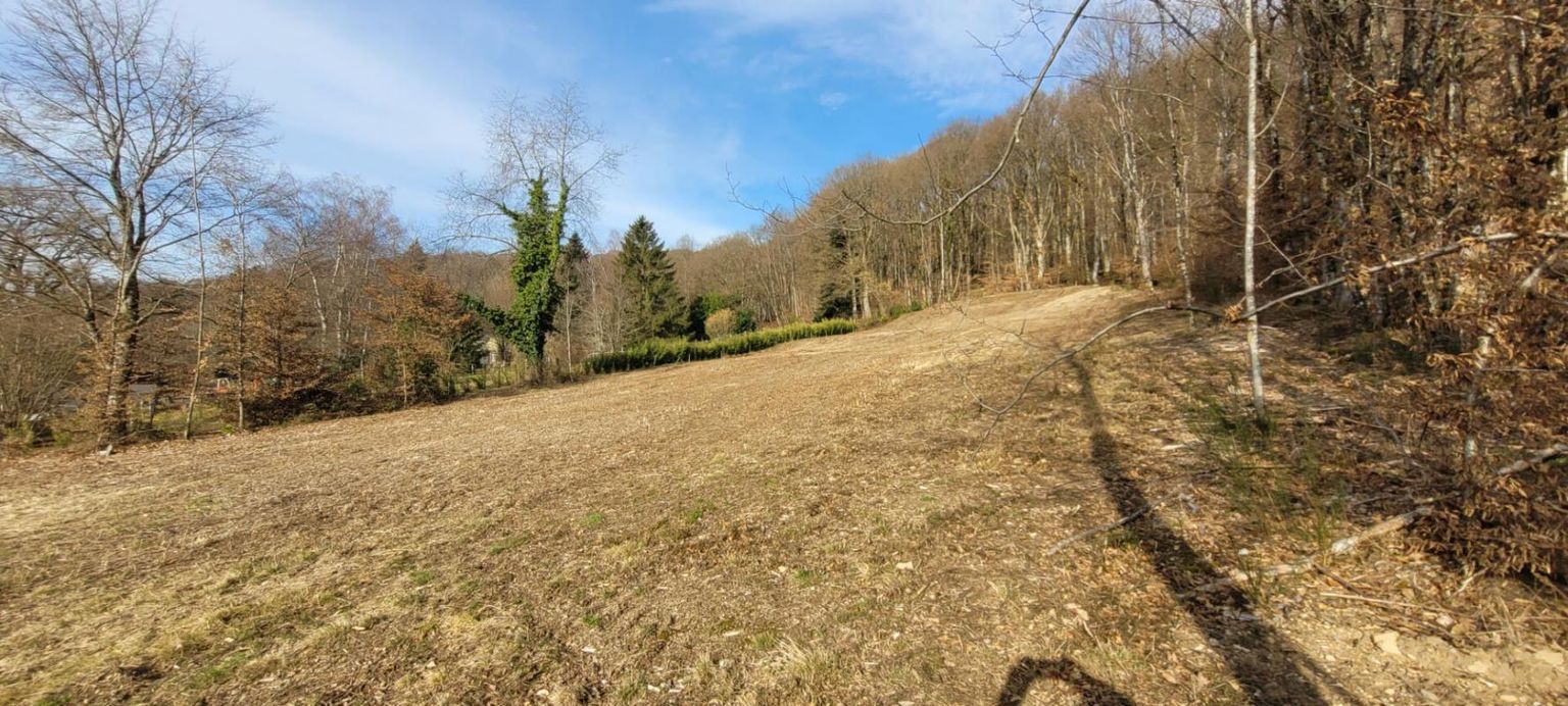 MASEVAUX Vue dominante 4