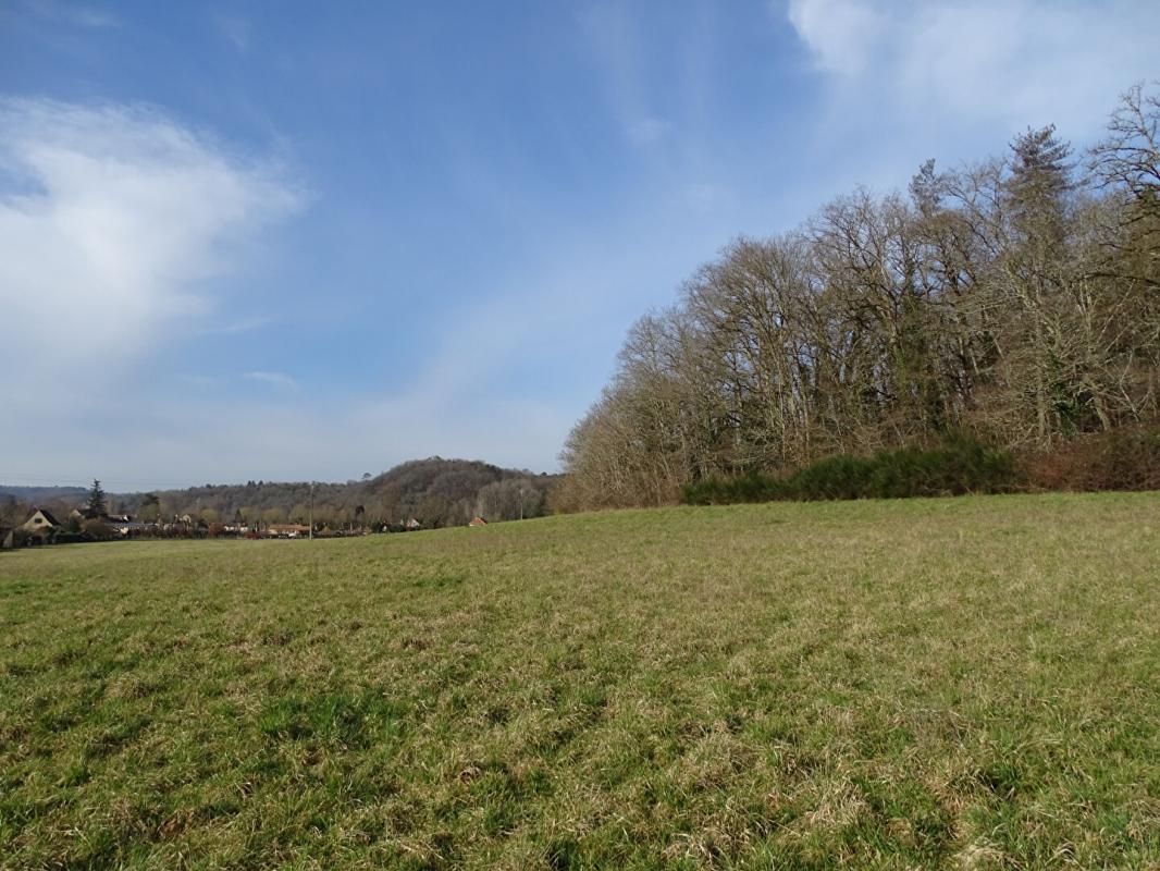 THONAC Terrain Thonac 19000 m2 2