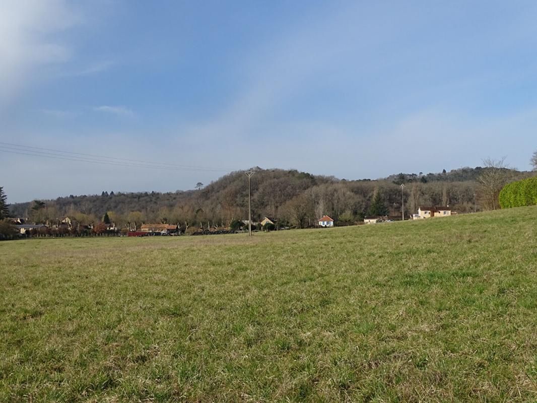 THONAC Terrain Thonac 19000 m2 4