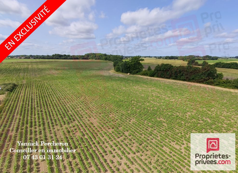 NOYANT-VILLAGES terrain agricole de 5 hectares avec hangar libre à partir du 1er novembre 2026 1