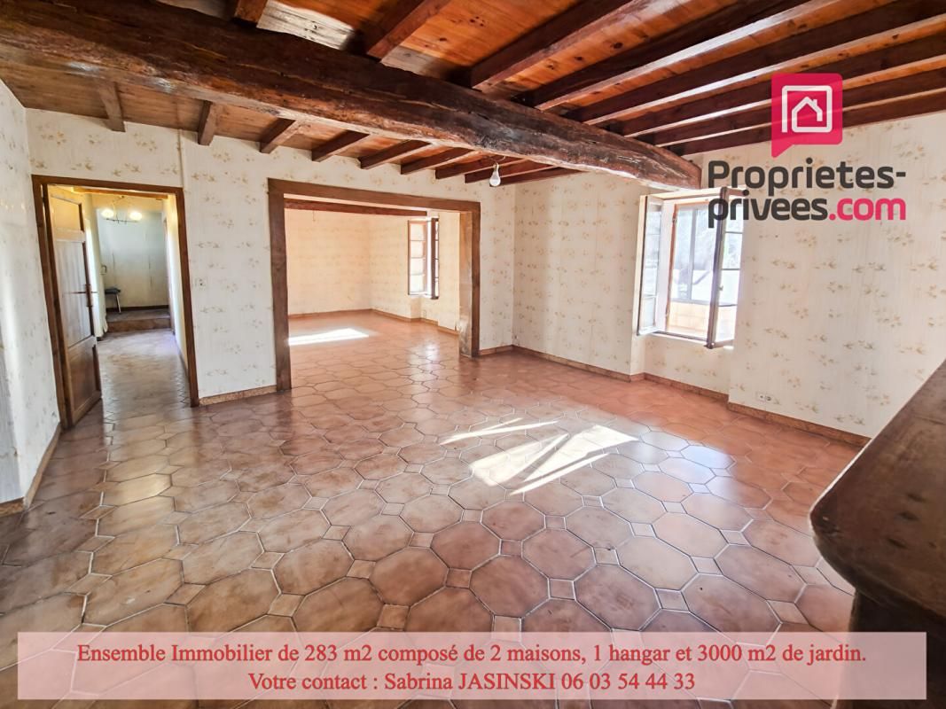 CASTELJALOUX Ensemble immobilier, deux maisons, double garage et grand jardin 3