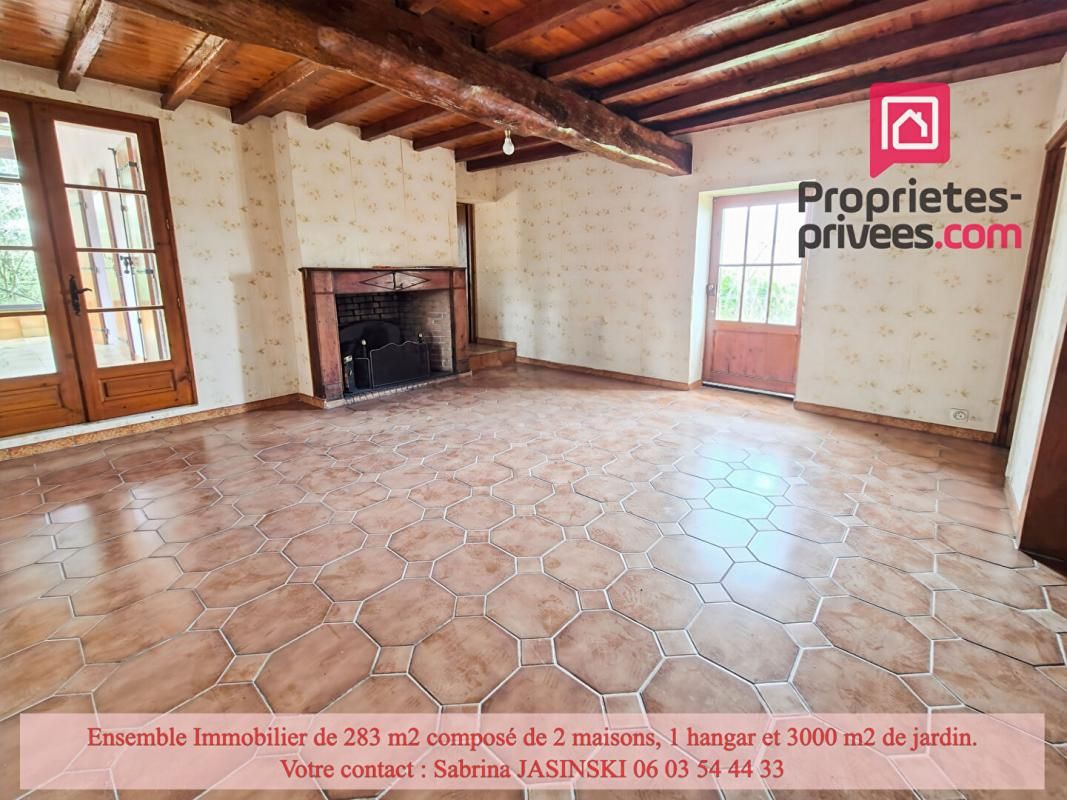 CASTELJALOUX Ensemble immobilier, deux maisons, double garage et grand jardin 4