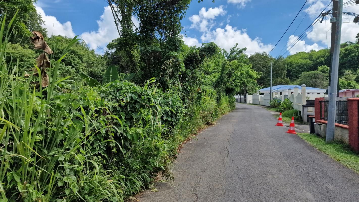 LES ABYMES Terrain constructible plat 97139 Les Abymes 2