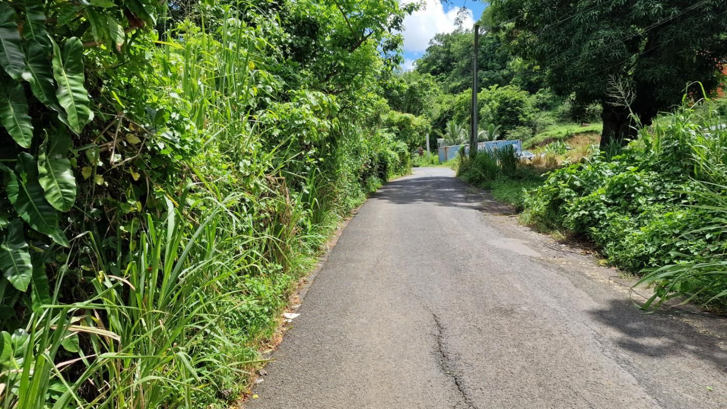 LES ABYMES Terrain constructible plat dans un secteur calme Les Abymes 97139 Guadeloupe 2