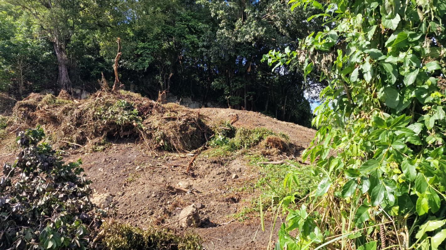 LES ABYMES Terrain constructible plat dans un secteur calme Les Abymes 97139 Guadeloupe 3