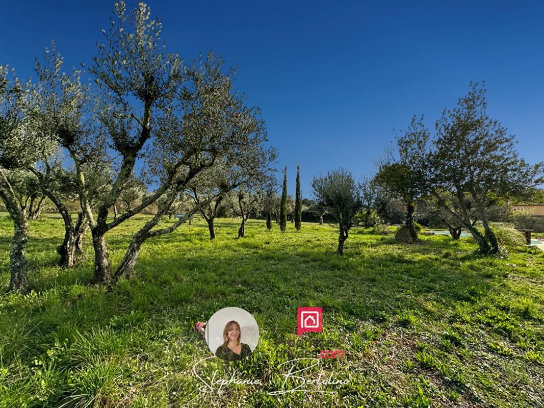 TRANS-EN-PROVENCE Maison  - 222 m2 - 5 500 m2 de terrain 4