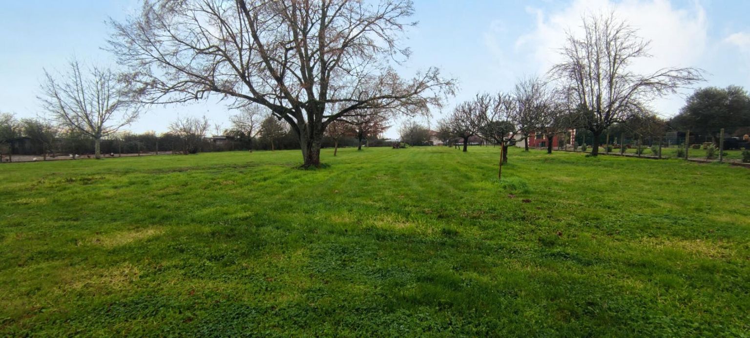 Terrain constructible plat