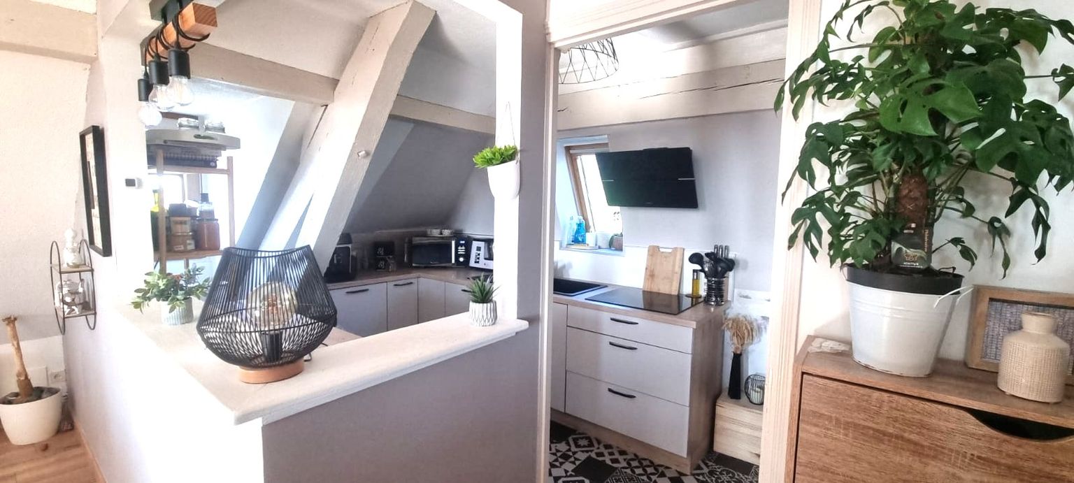 MONTBELIARD TRES BEL APPARTEMENT DUPLEX - 2 CHAMBRES- VUE IMPRENABLE- 3