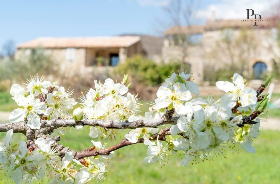 VIENS LUBERON : Domaine de charme / Activité d'accueil / Exploitation biologique 4