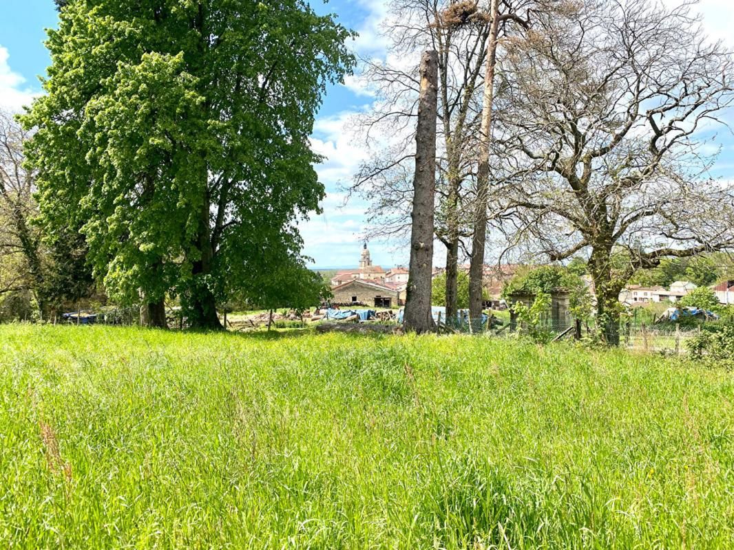 NANC-LES-SAINT-AMOUR Terrain constructible de 830 m2 lot N°1 2