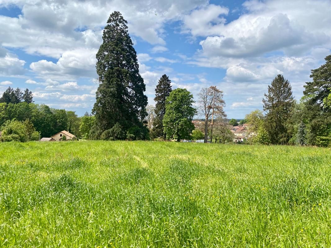 Terrain constructible de 4000 m2 lot N°3