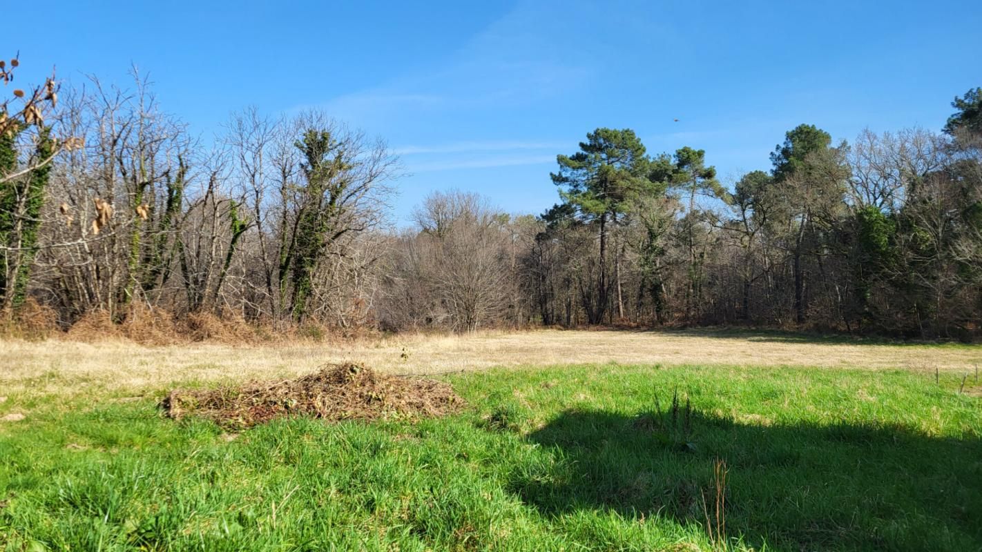 BOSSET 24130 Entre Bergerac et Mussidan Grange bois sur parcelles de 5900 m² environ 3
