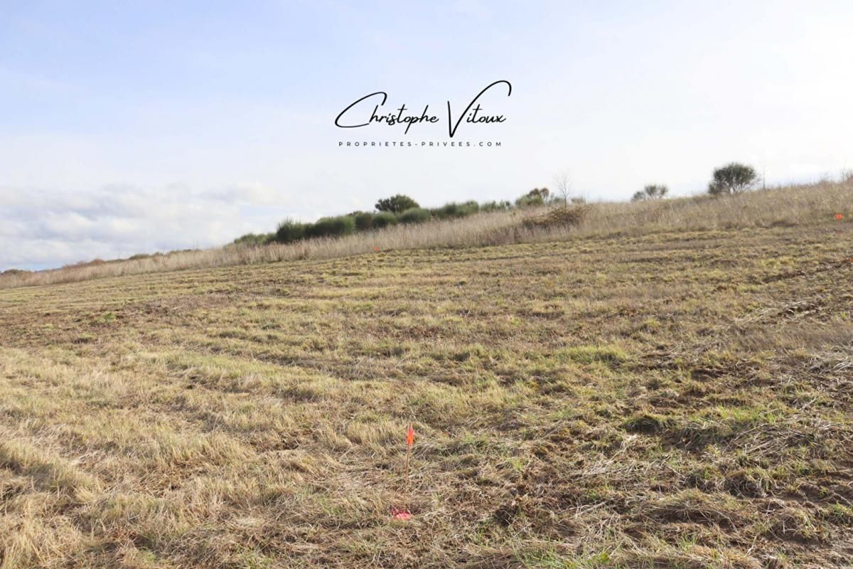 TERRAIN 575M2 VIABILISE - 11300 LIMOUX