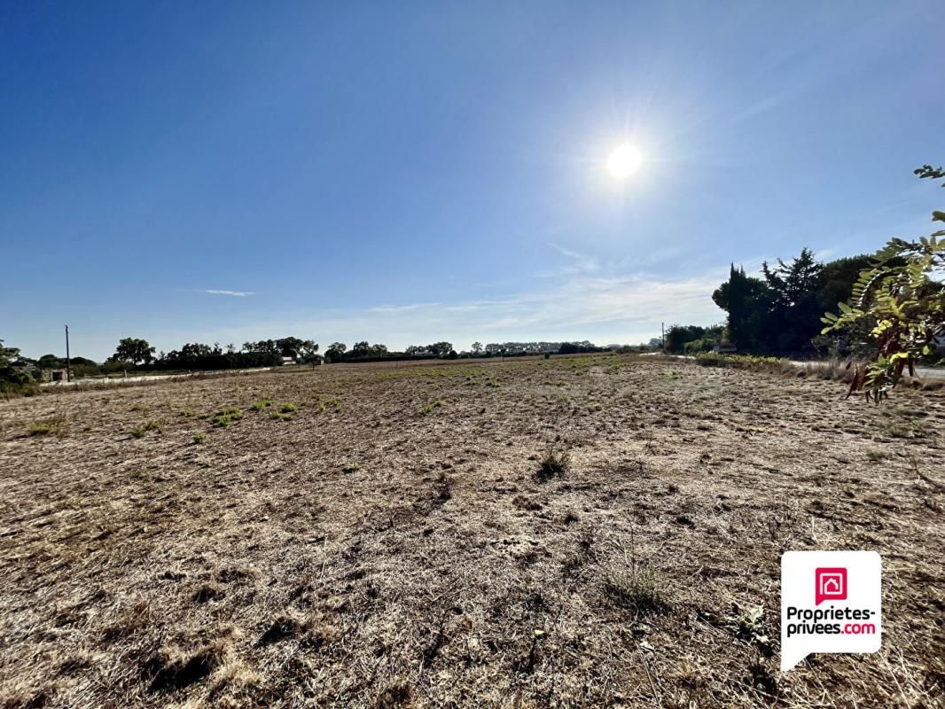 Terrain agricole à vendre Lunel de 4100m²