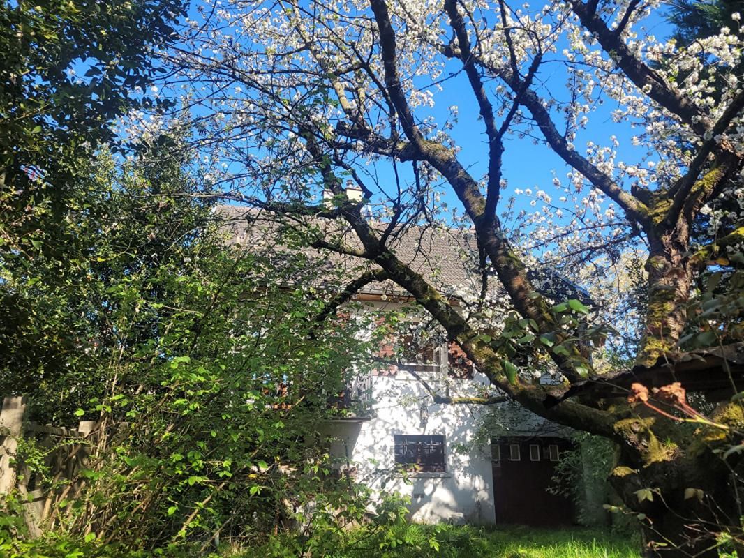 91330- Yerres- Maison individuelle de 125m²