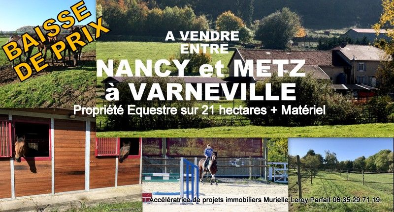 METZ 57000 METZ (à 59km du centre) à 55300 VARNEVILLE/Propriété équestre/Maison 237m2/+21ha/30boxes/750000HAI 2