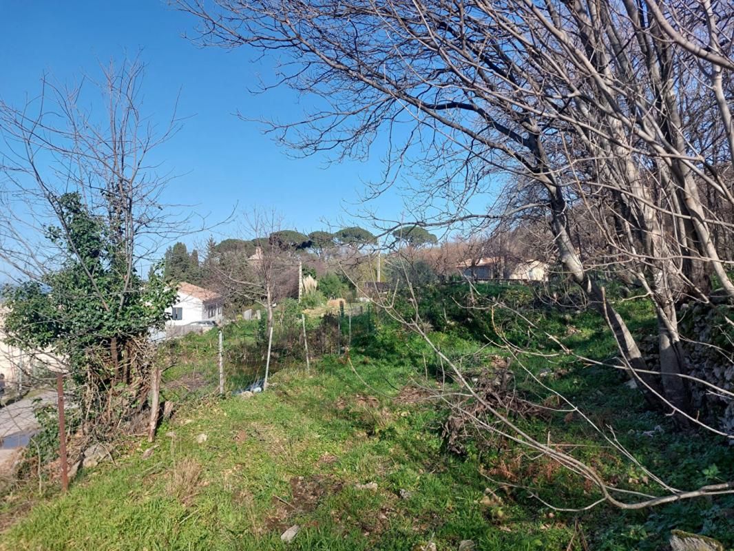 VILLE-DI-PARASO Terrain Constructible de 1100 m² 2