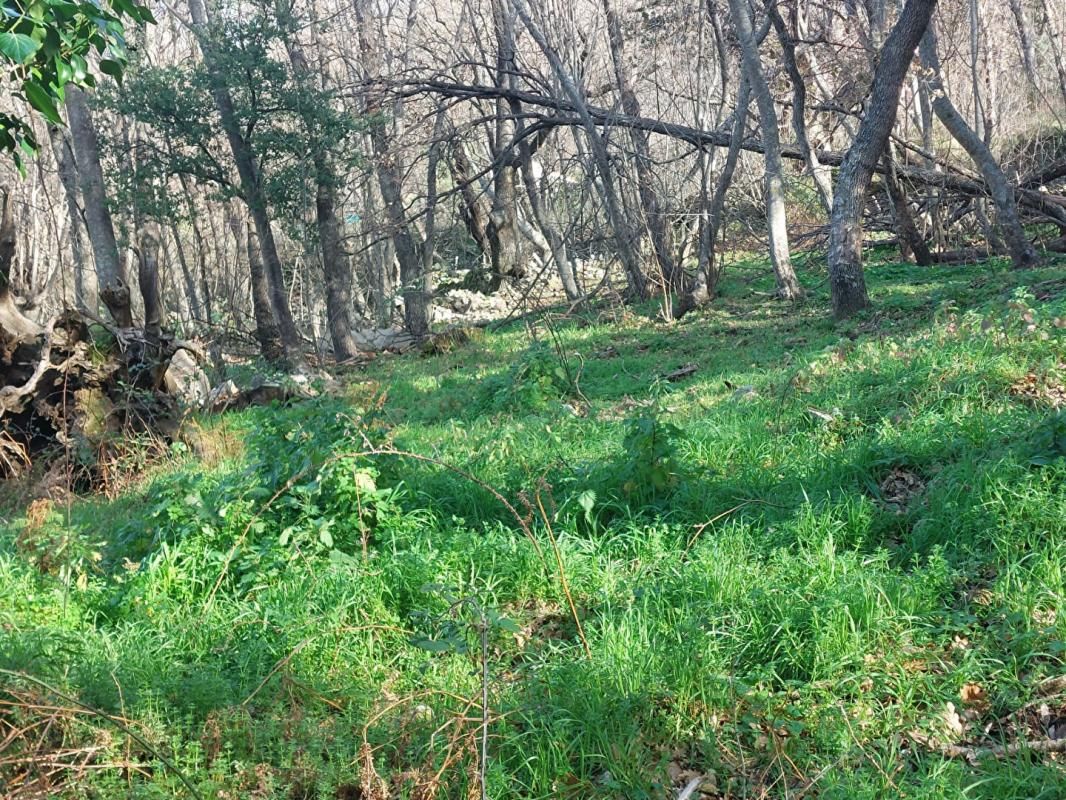 VILLE-DI-PARASO Terrain Constructible de 1100 m² 4