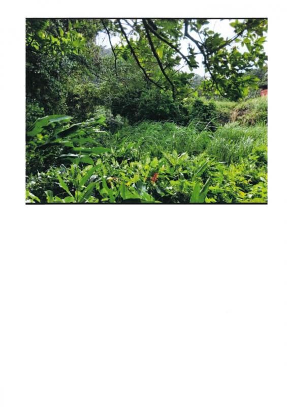 FONDS-SAINT-DENIS vente d un terrain de 1400 m2 a fonds saint denis ref 398641 1