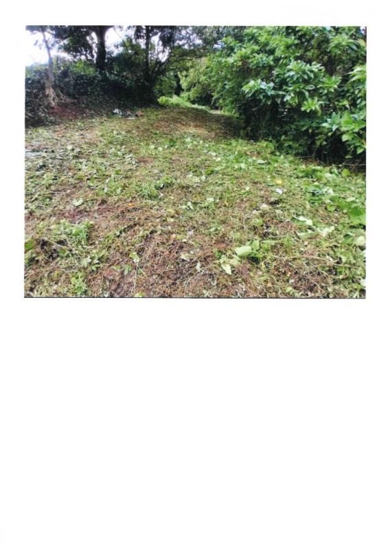 FONDS-SAINT-DENIS vente d un terrain de 1400 m2 a fonds saint denis ref 398641 2