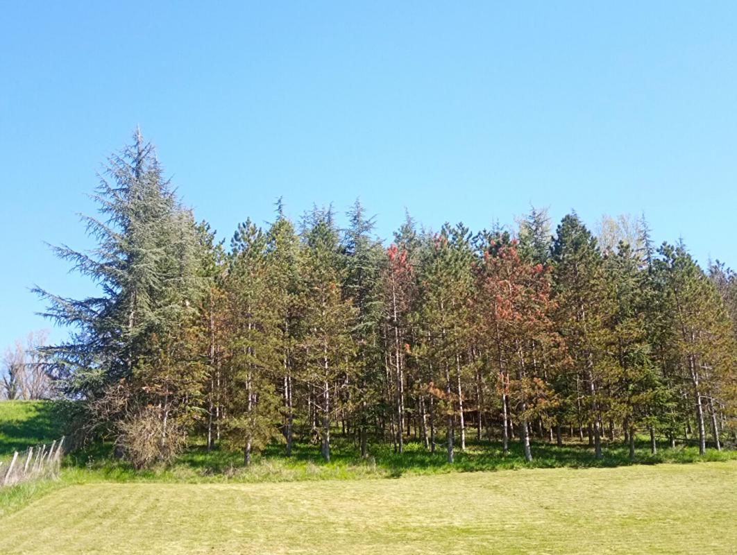 Lombers : Terrain constructible de 4000 m2 !