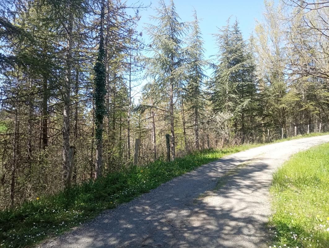 LOMBERS Lombers : Terrain constructible de 4000 m2 ! 3