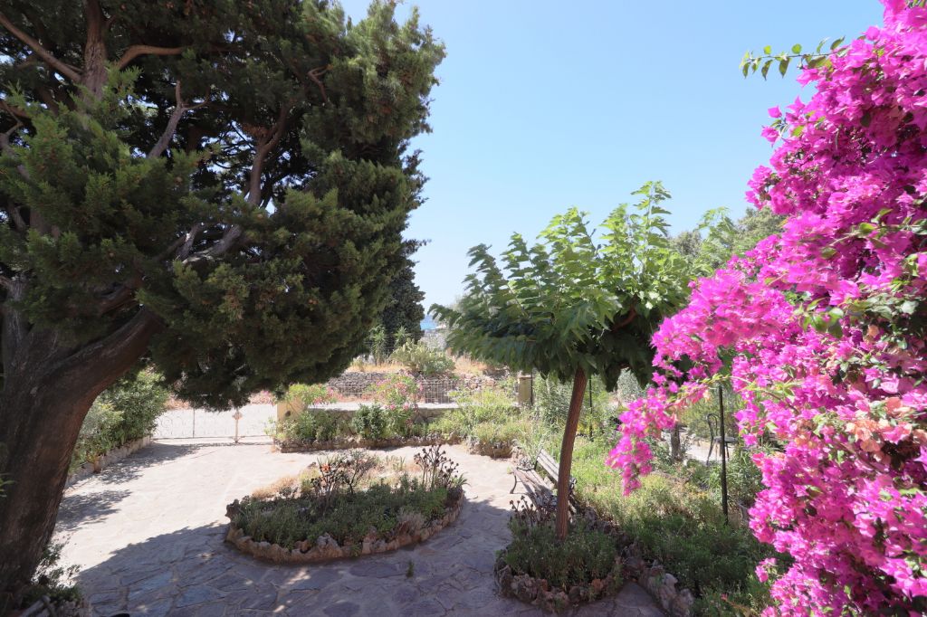 TOULON Maison T3 avec terrasse, garage et jardin 2