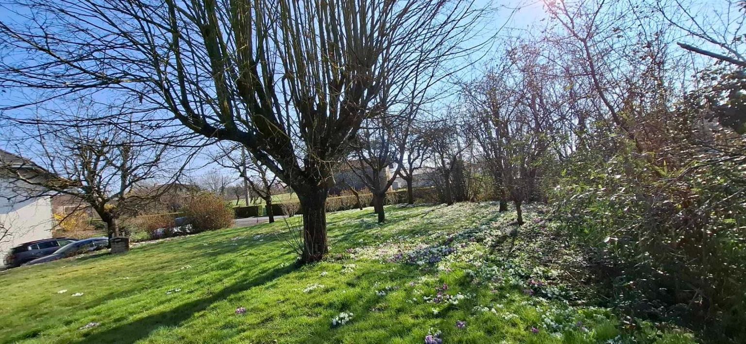 LESCHEROUX Maison Lescheroux 140 m2 terrain 1500 m2 3