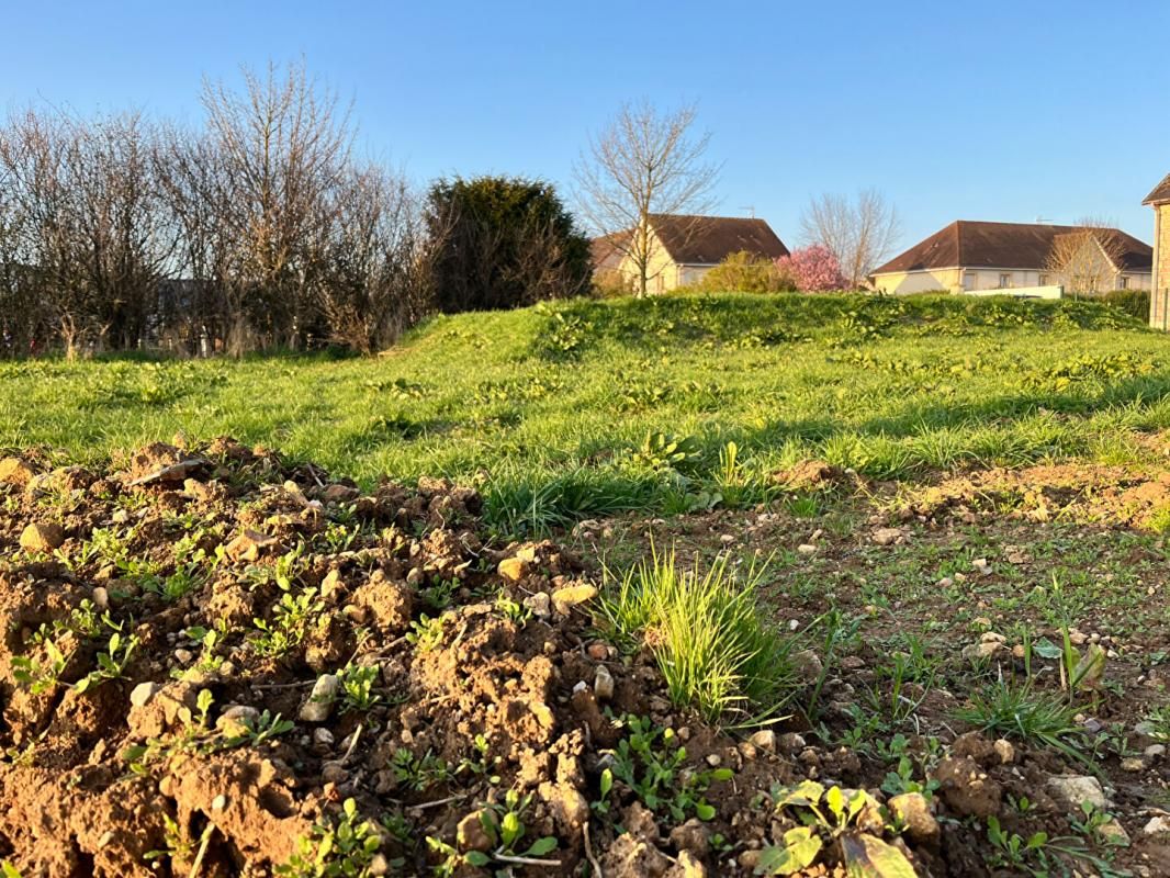 FALAISE TERRAIN FALAISE 2